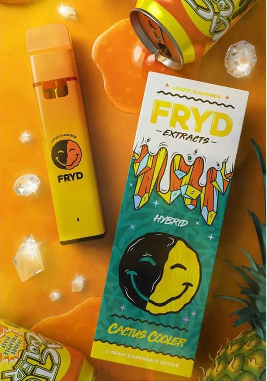 Extraits de Cactus Cooler Fryd - Fryd Morocco 